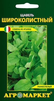 щавель Широколистный