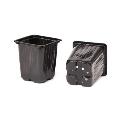 Горшок для рассады квадратный формованный 0.55 л, 9*9*10 см