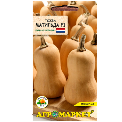 тыква Матильда F1 (5шт.)