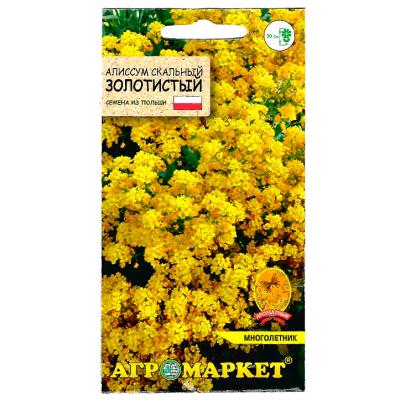 алиссум скальный золотистый