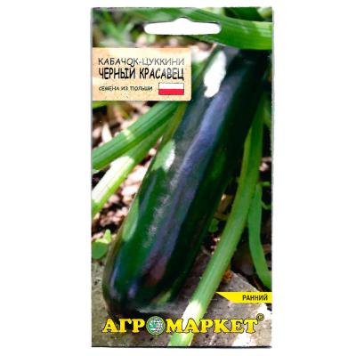 кабачок Черный красавец