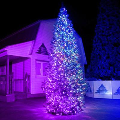 Комплект новогоднего освещения "Кристалл-2" Комплект новогоднего освещения "Кристалл-2"