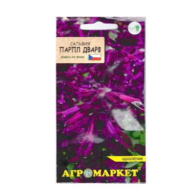 сальвия Парпл Дварф, 10 шт