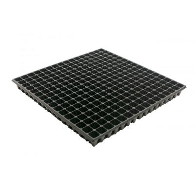 Кассета для рассады 256 ячеек, 10мл 