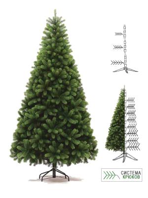 Ель "Русская Красавица"