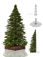 Большая уличная ель "Альпийское дерево" Большая уличная ель "Альпийское дерево"