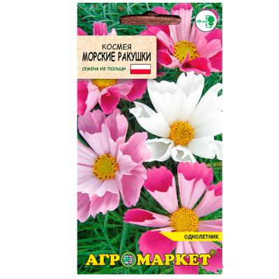 космея Морские ракушки