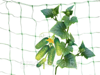 Сетка шпалерная для поддержки вьющихся растений 2*15 м