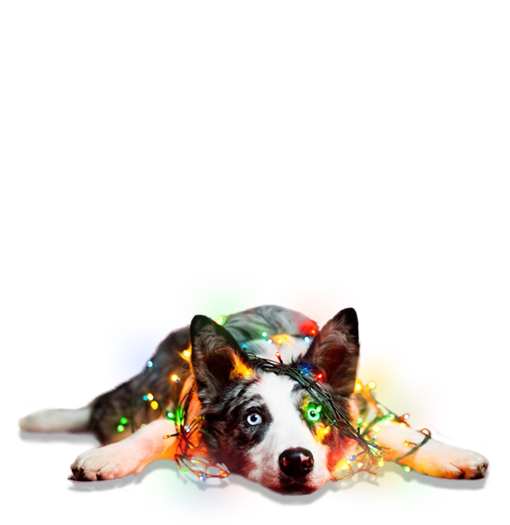 Декоративная светотехника