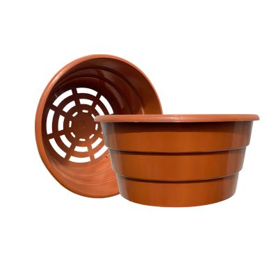 Горшок-миска для хризантем 3л