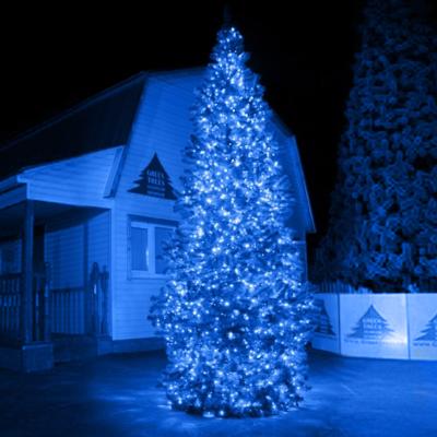 Комплект новогоднего освещения "Кристалл-1" Комплект новогоднего освещения "Кристалл-1"