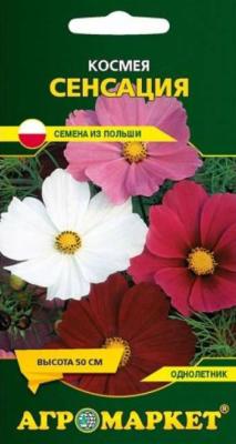 космея Сенсация