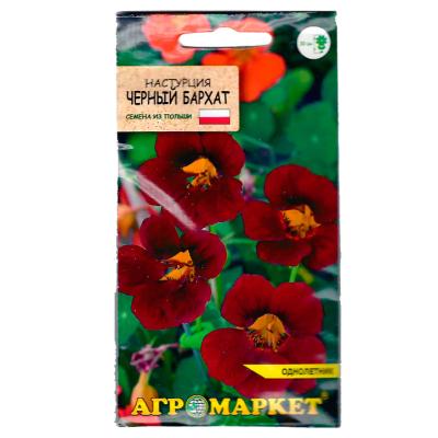 настурция Черный бархат