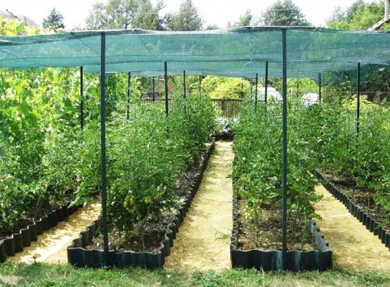 Навес для огорода от солнца. Затеняющая сетка для навеса. Сетка для навеса от солнца. Сетка затеняющая 80. Затеняюшая сетка 80% 10*10м.