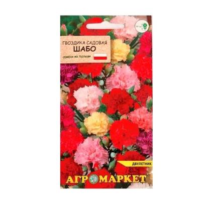 Гвоздика садовая Шабо