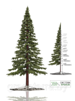 Новогоднее дерево "Сосна Экстра" Новогоднее дерево "Сосна Экстра"