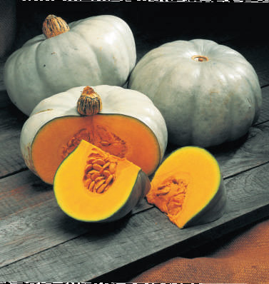 тыква Краун Принц F1