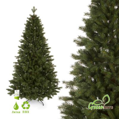 Сосна "Тундра"