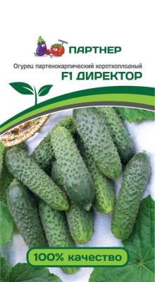 огурец партенокарпический Директор F1