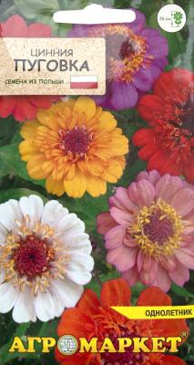цинния Пуговка