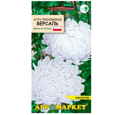 астра пионовидная Версаль