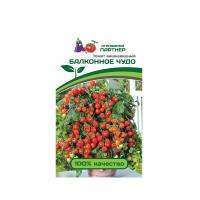томат Балконное Чудо (красный)