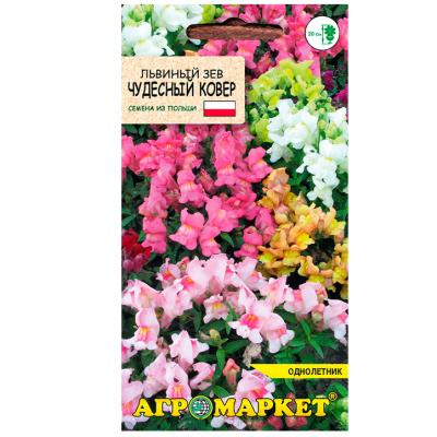 львиный зев Чудесный ковер