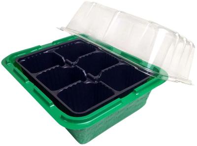 Минипарник с крышкой и кассетой на 6 ячеек