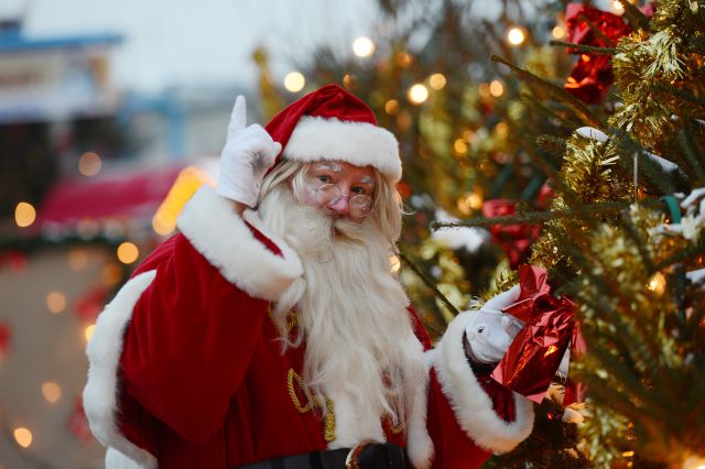 Сегодня мы разберем на что обратить внимание при покупке елки.