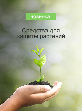 Грунт Грунт
