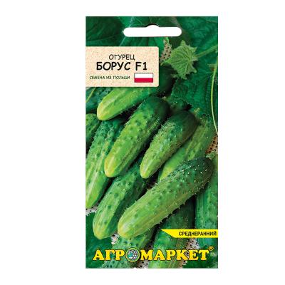 огурец Борус F1