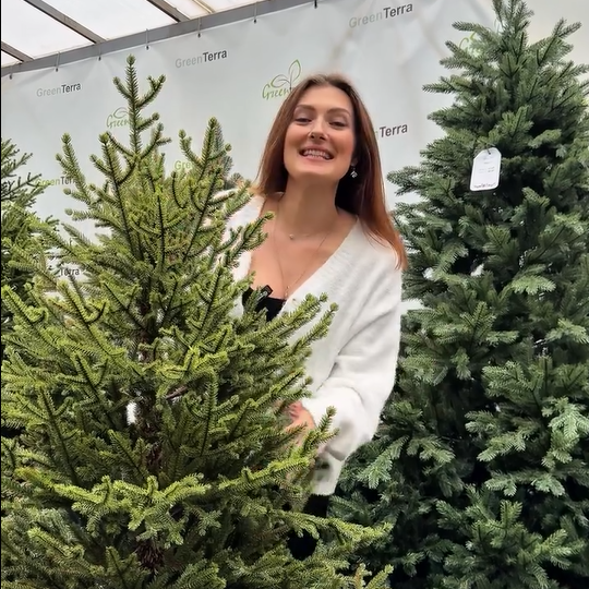 Старт новогодних продаж