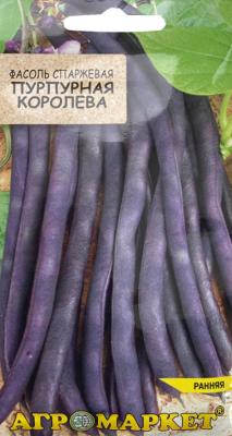 фасоль спаржевая Пурпурная королева (фиолетовая)