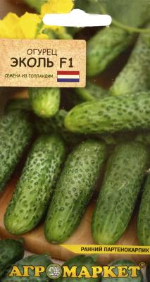 огурец партенокарпический Эколь F1