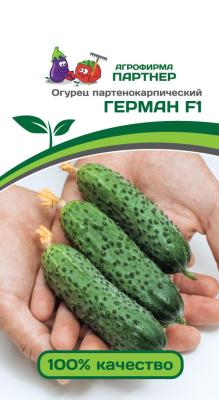 огурец партенокарпический Герман F1