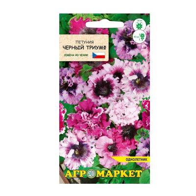 петуния Черный триумф