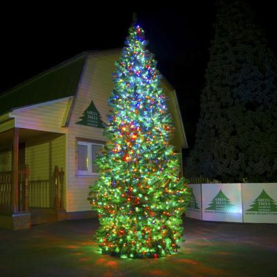 Комплект новогоднего освещения "Кристалл-3" Комплект новогоднего освещения "Кристалл-3"