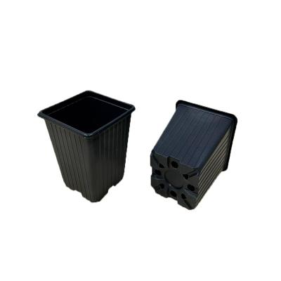Горшок для рассады квадратный формованный 0.55 л, 9*9*10 см Горшок для рассады квадратный формованный 0.55 л, 9*9*10 см