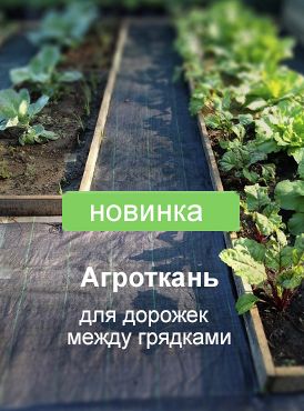 Агроткань для междурядий ( дорожка между грядок)  Агроткань для междурядий ( дорожка между грядок)