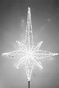 мал роза ветров белая.jpg