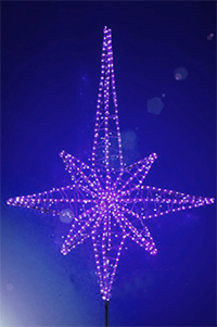 мал роза ветров фиолетовая.jpg