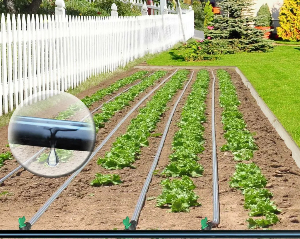 капельный полив схема.jpg