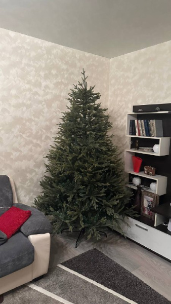 Елка "Этуаль"