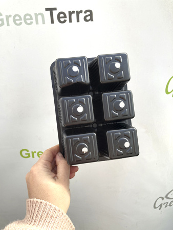 Минипарник с крышкой и кассетой на 6 ячеек