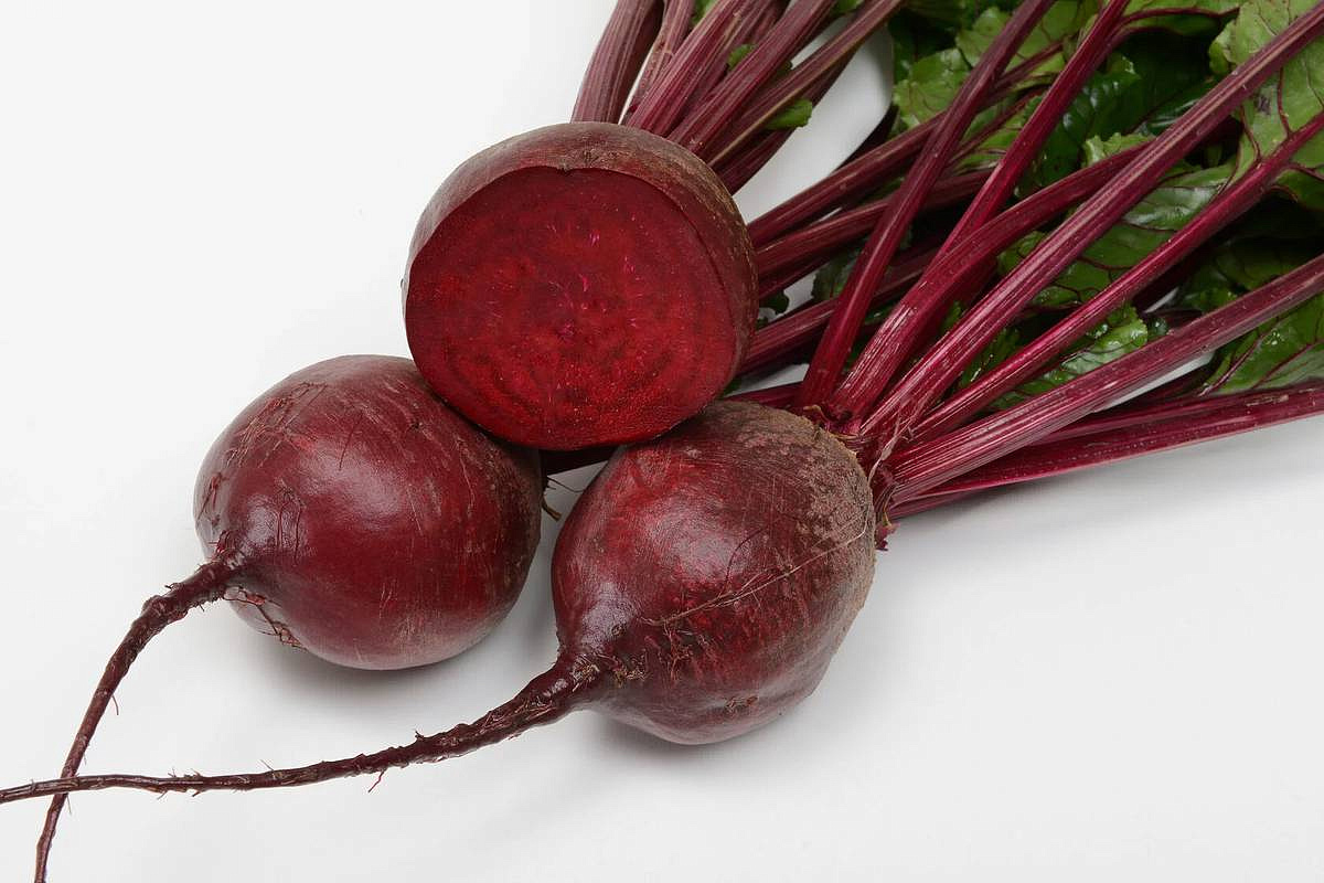 свёкла столовая Фалькон F1