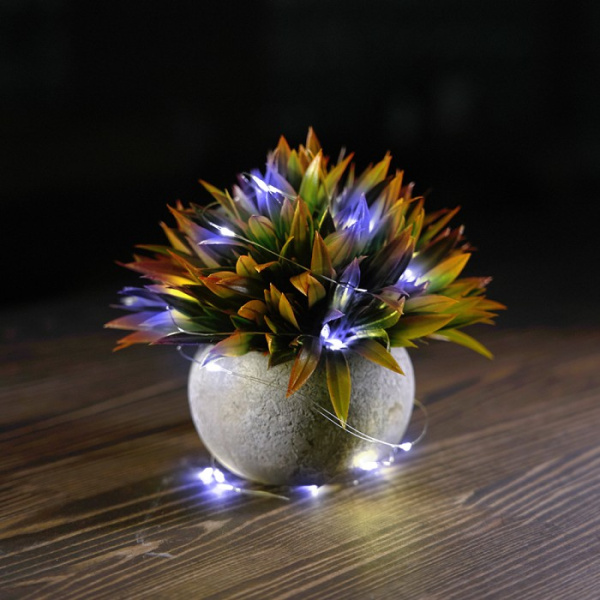 Светодиодная гирлянда Роса Feron CL588 20LED белый, 2м IP20, от батареек [51440]