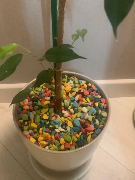 Щебень окрашенный мрамор-гранит микс, 5-10мм