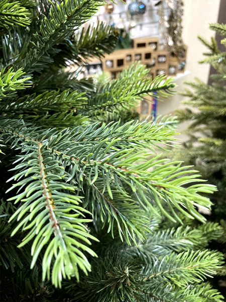 Елка "Кашемир" 