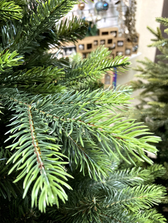 Елка "Кашемир" 