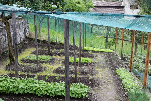 Затеняющая сетка 6х50м (затенение 55%)